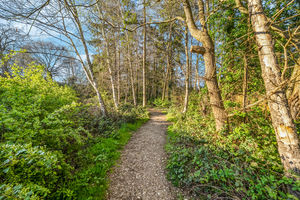 Photo 21- click for photo gallery